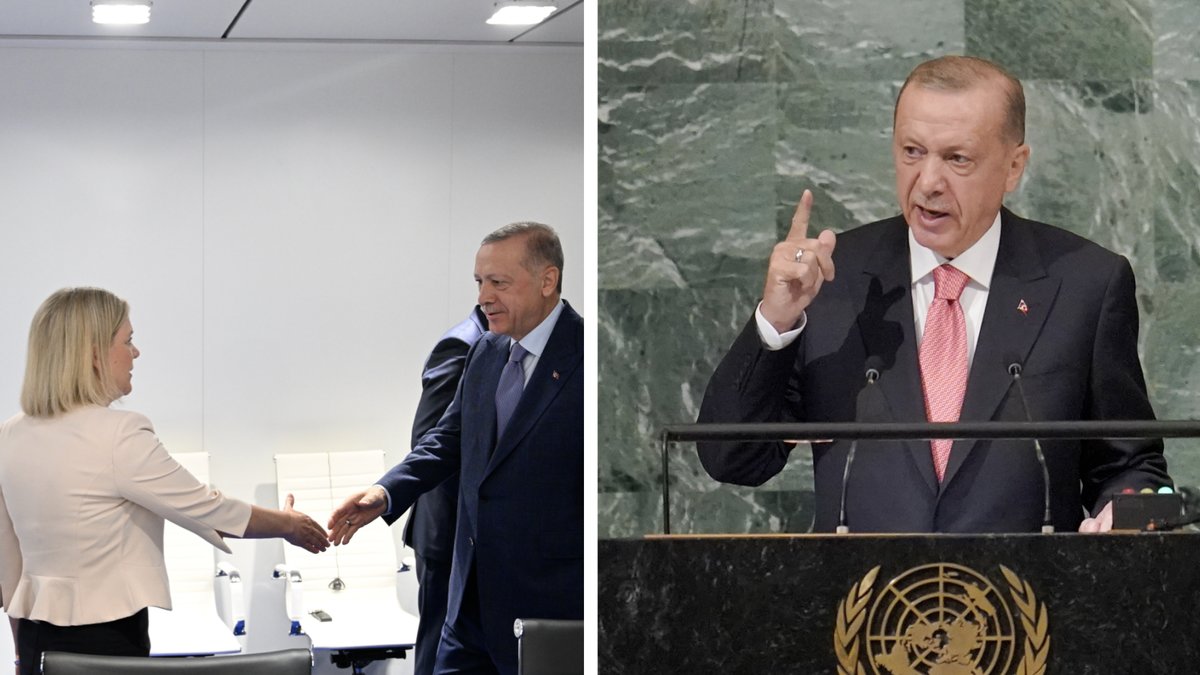 Erdogan upprepar Natohotet att blockera Sveriges medlemskap.